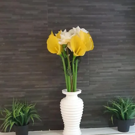 度假居 Casa Paradiso *